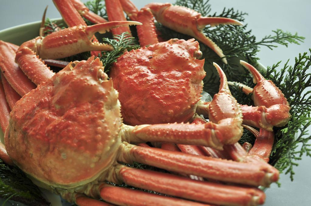 Satsuhana 香美町 外观 照片
